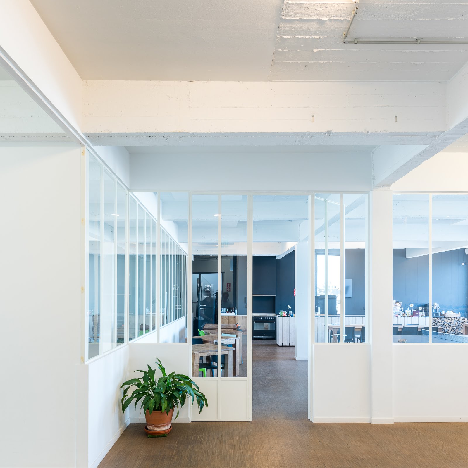 Zicht op het strakke witte interieur bij Urban City. Rechtvoor een open deur met links daarvan een plant.