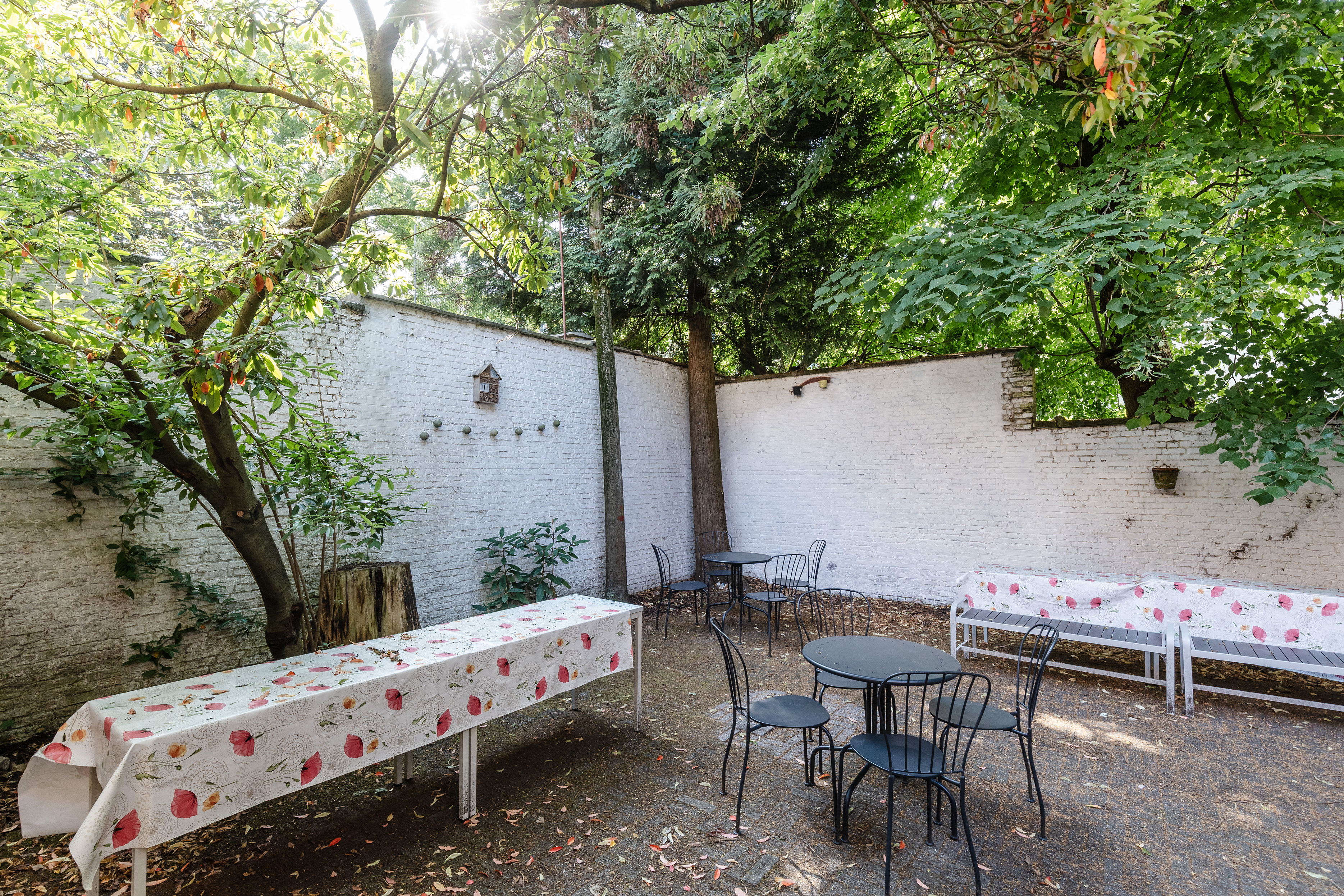 Zicht op de buitenruimte bij Lucy's Antwerp