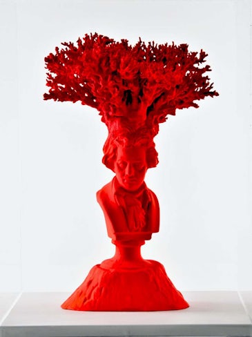 Inspiration (coral)
