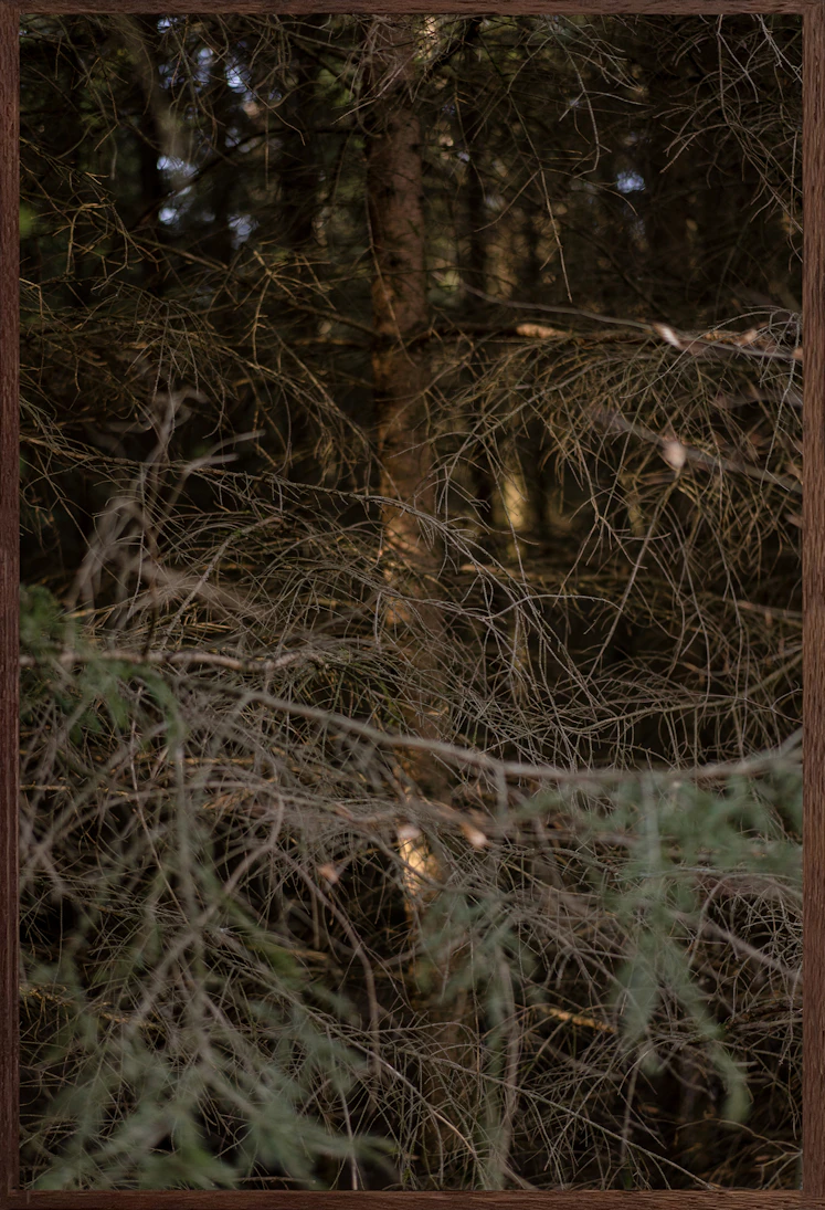 the night was never so quiet #4 - Marnix Krekels