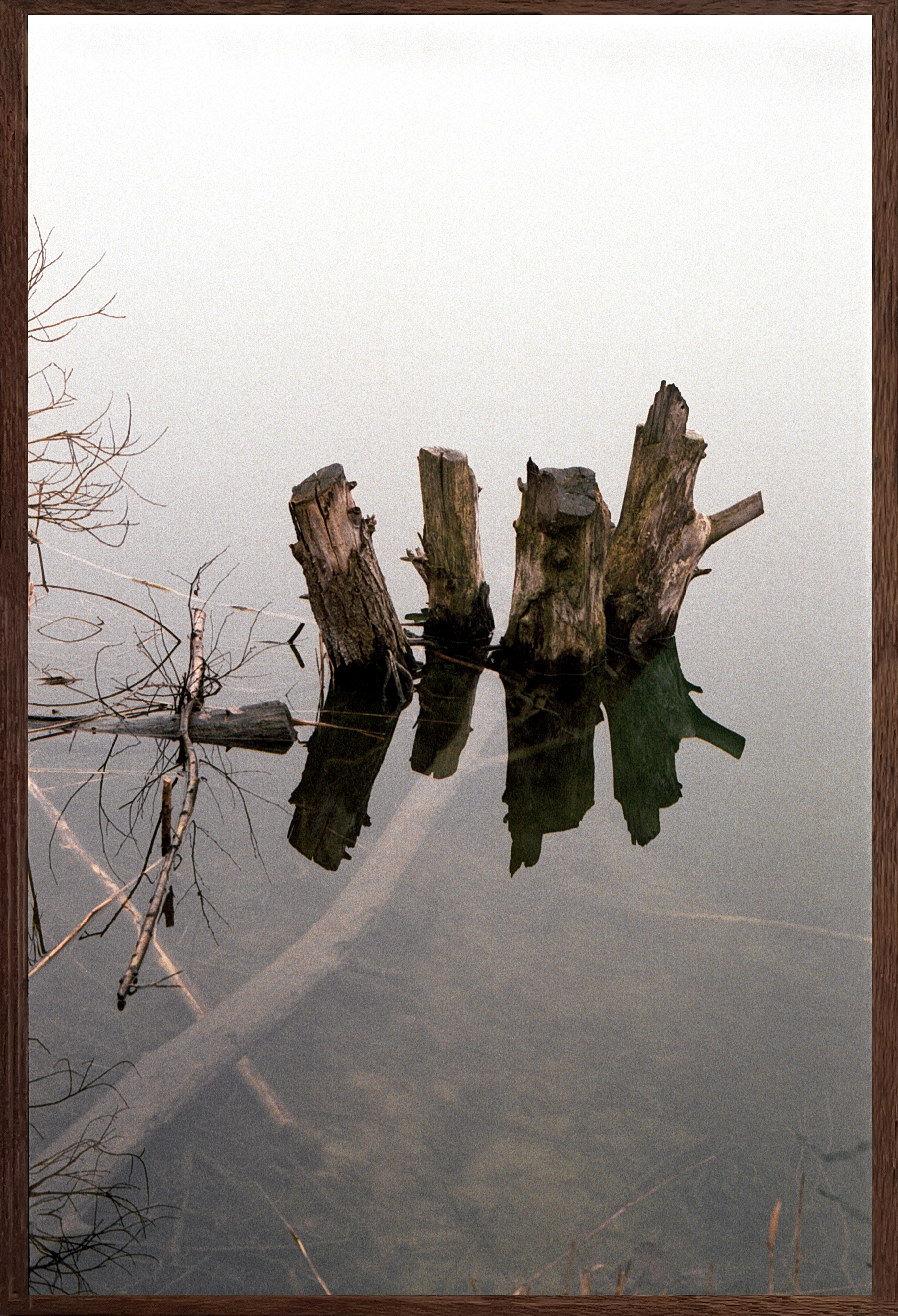 The night was never so quiet #10