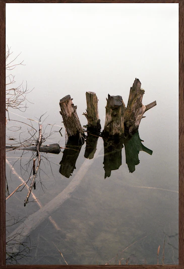 The night was never so quiet #10