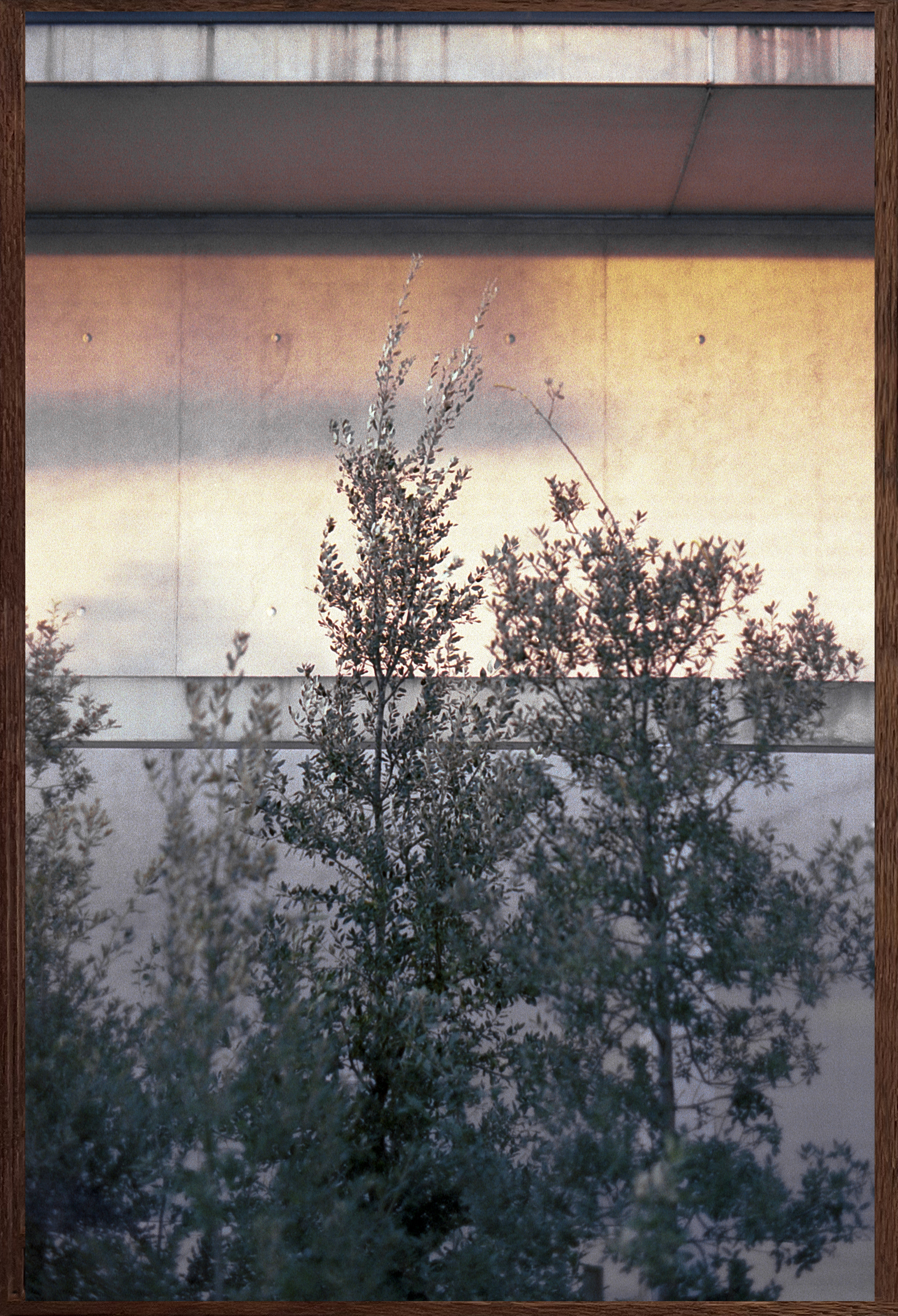 The night was never so quiet #9