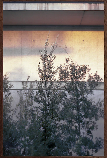 The night was never so quiet #9