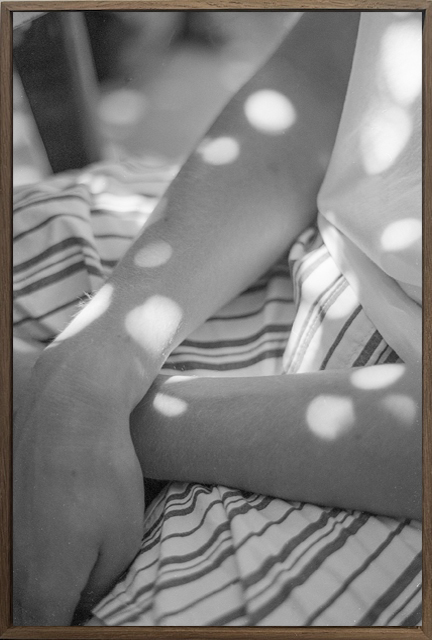 Dat wij er waren 1 (ed. 5)