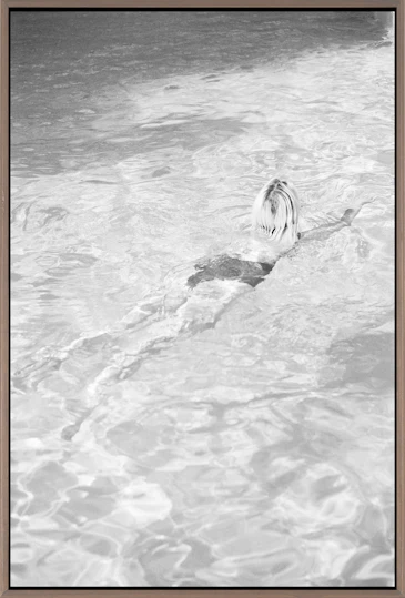 Dat wij er waren 2 (ed. 5)