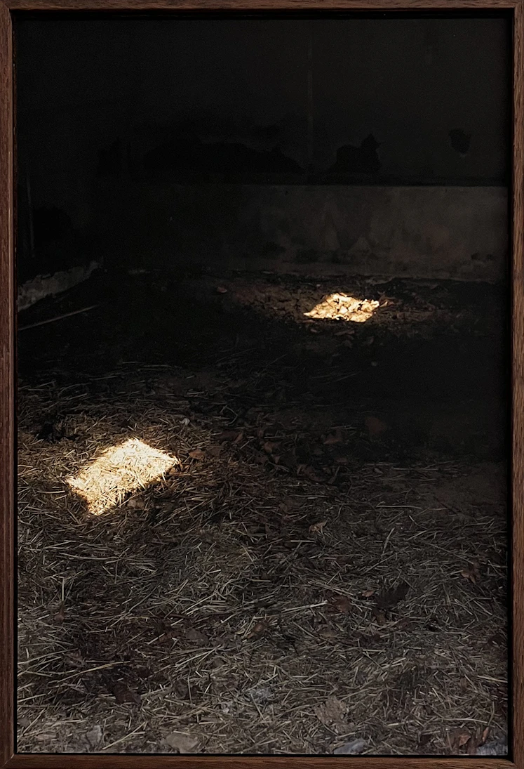 The night was never so quiet - Marnix Krekels