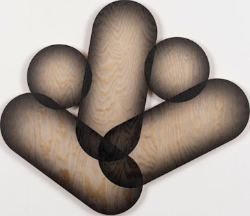 5 overlappende vormen ed. 4/5