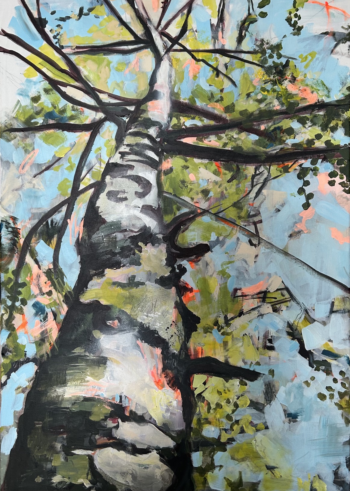 Woods 9