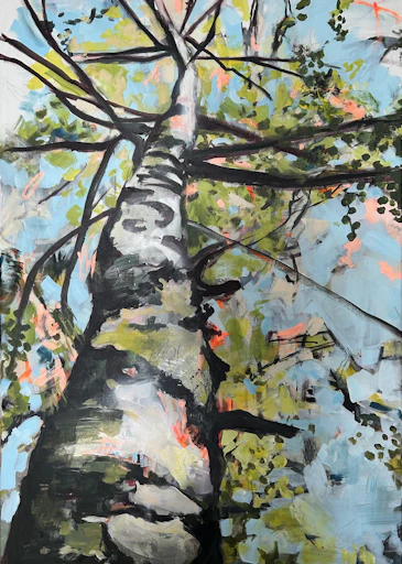 Woods 9