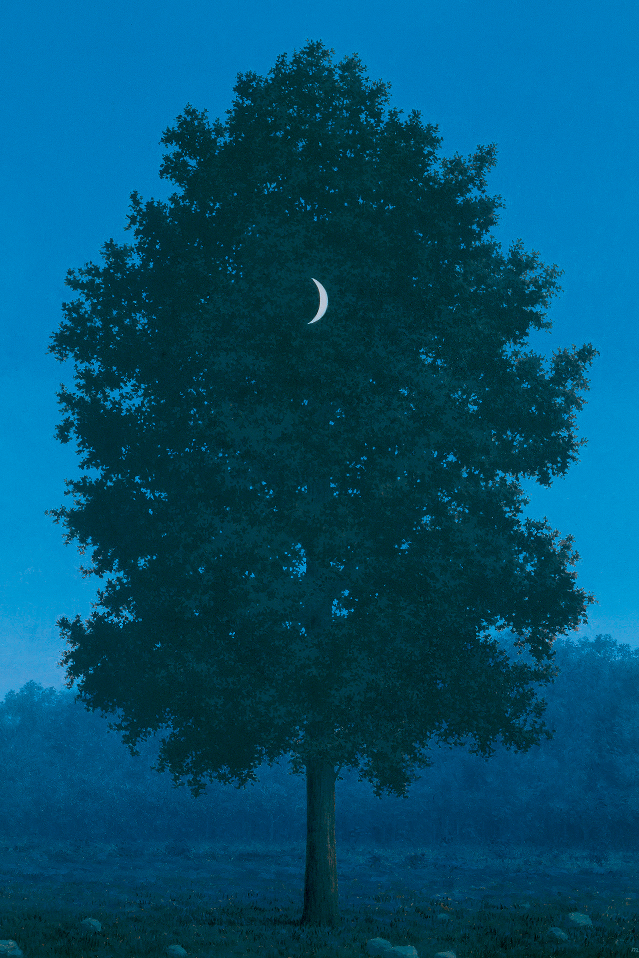 Komono René Magritte | KOMONO