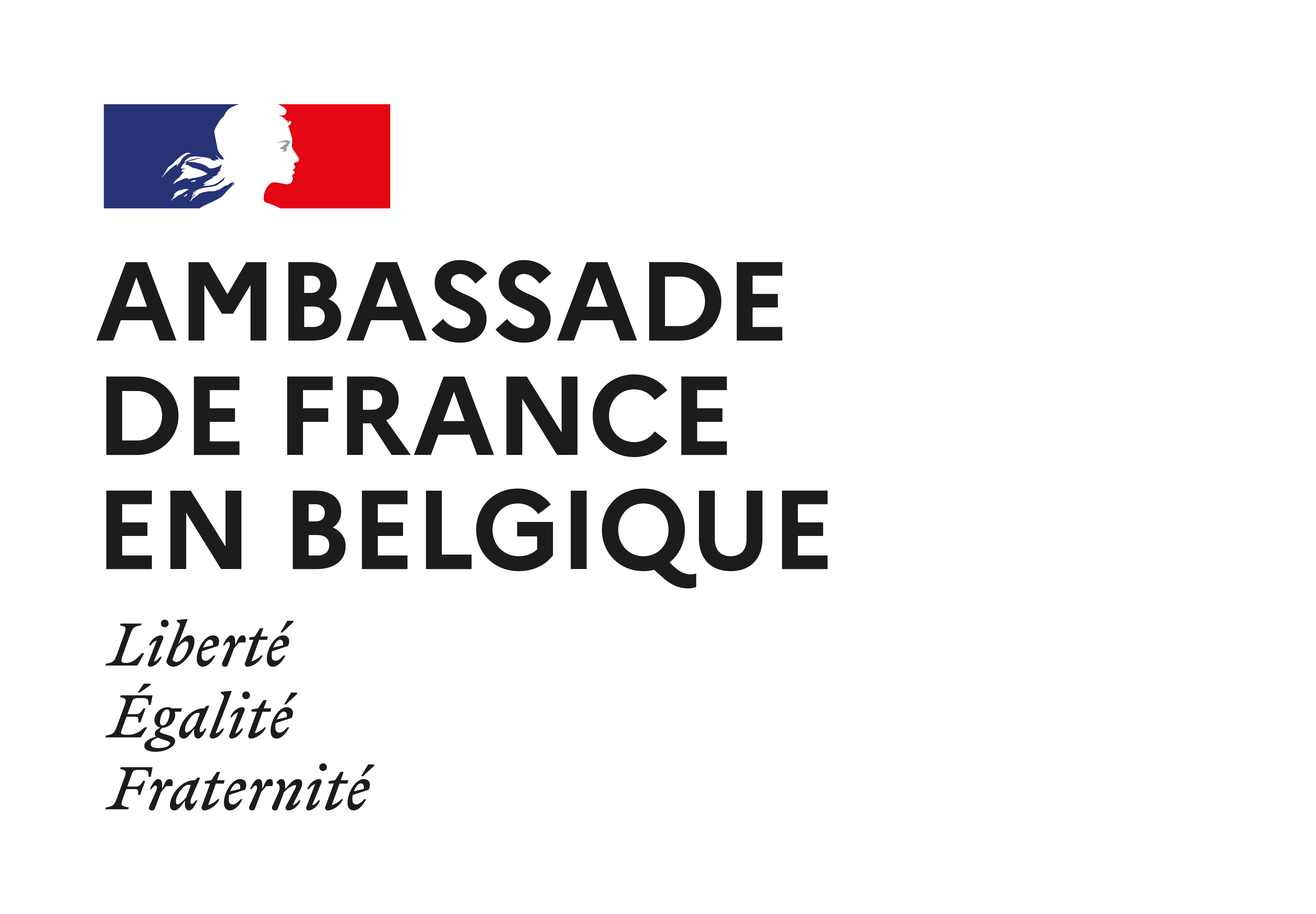 Logo Ambassade de France en Belgique