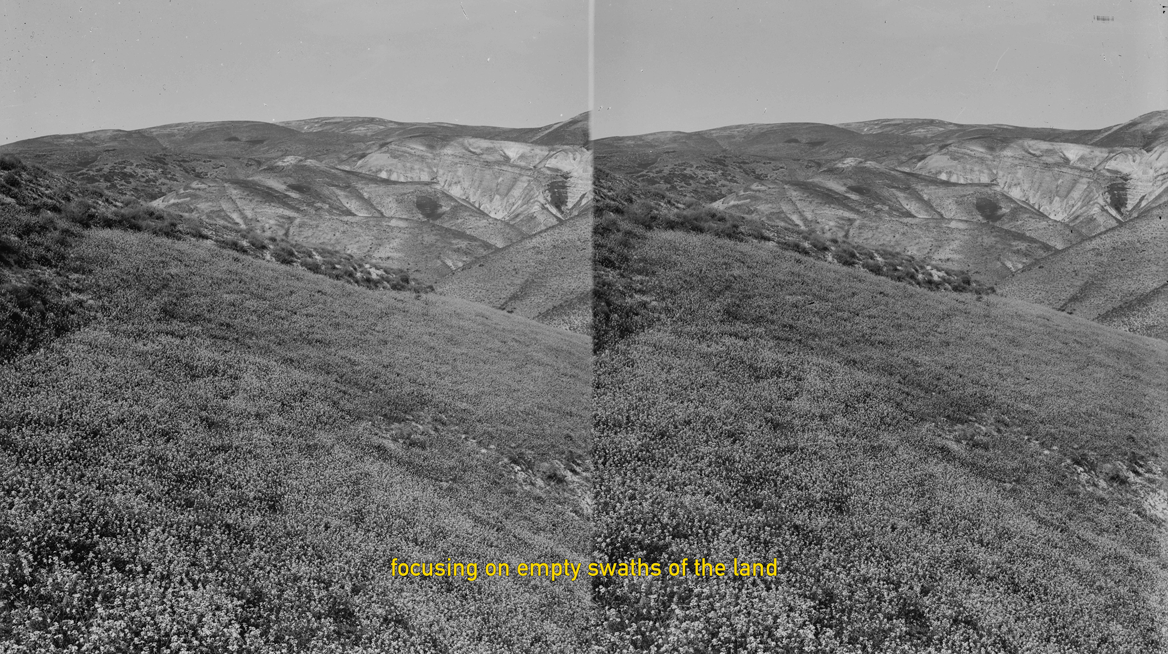 Alaa Abu Asad, Wild Plants of Palestine, Video-essay, 10'00'', 2018