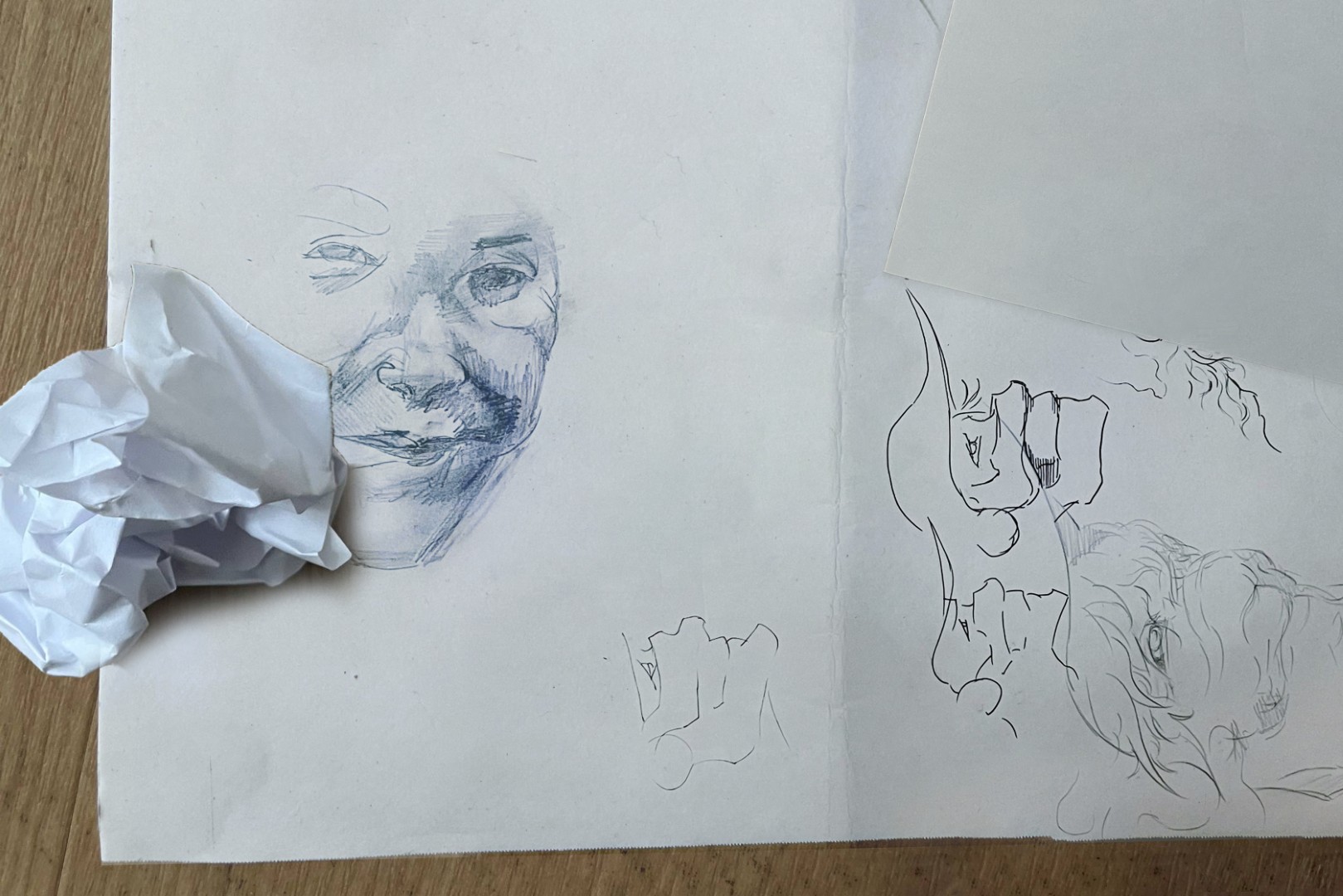 Dries van Elke - Riverheads