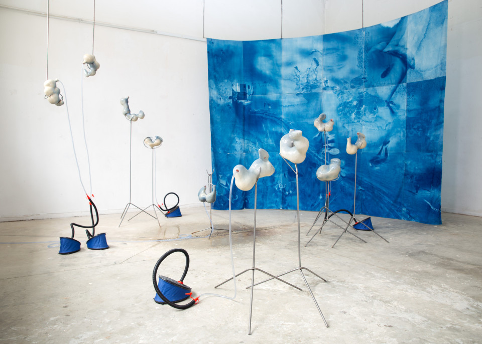 Credits: Charlotte Daniëlse