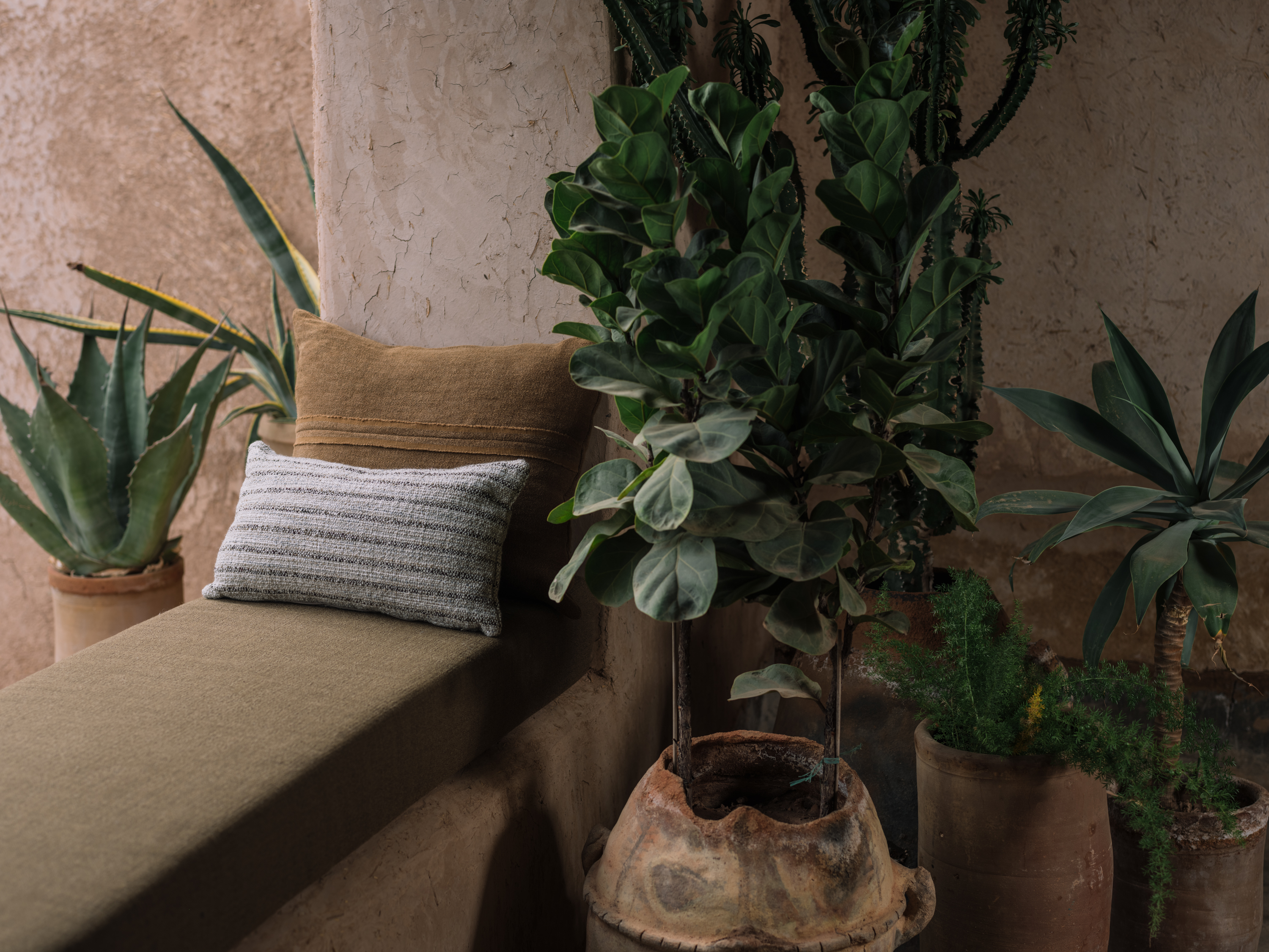 Cushion bench BIKAINA YP25005 Cushions NEMMA 26002, KATHIKA YP26013 photographed in Studio KO's traditional Moroccan farm for the Azimuth 2026 fabric collection by Designs of the Time