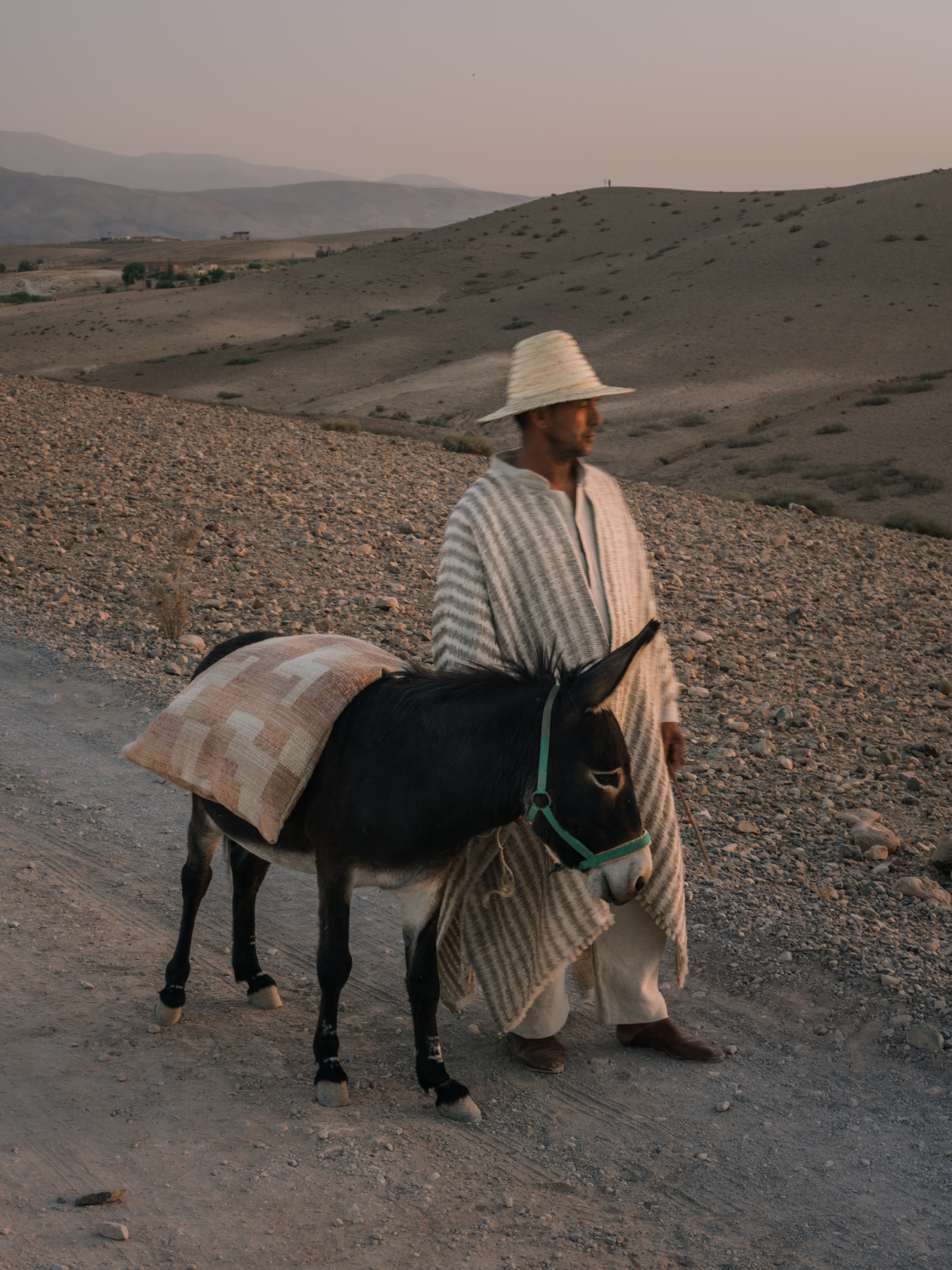 Man wearing a cape made of TARANGA YP26001 fabric, Cushion donkey MANDUKA YP26005 photographed in the Moroccan desert for the Azimuth 2026 fabric collection by Designs of the Time