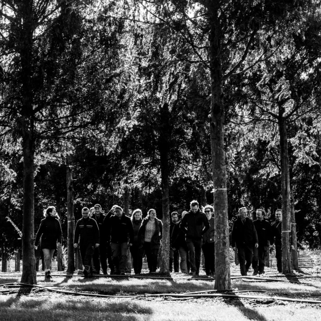 Op deze foto zie je het team van Solitair dat onder de bomen wandelt.