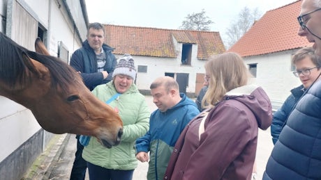 Een groep mensen kijkt naar een paard in een stal