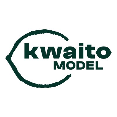 Kwaito model