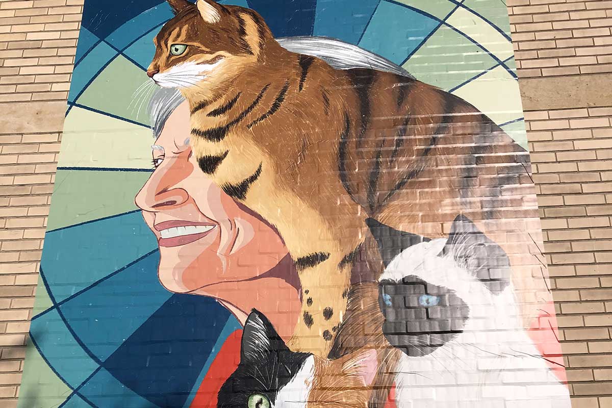 Muurschildering in Halle-Vilvoorde