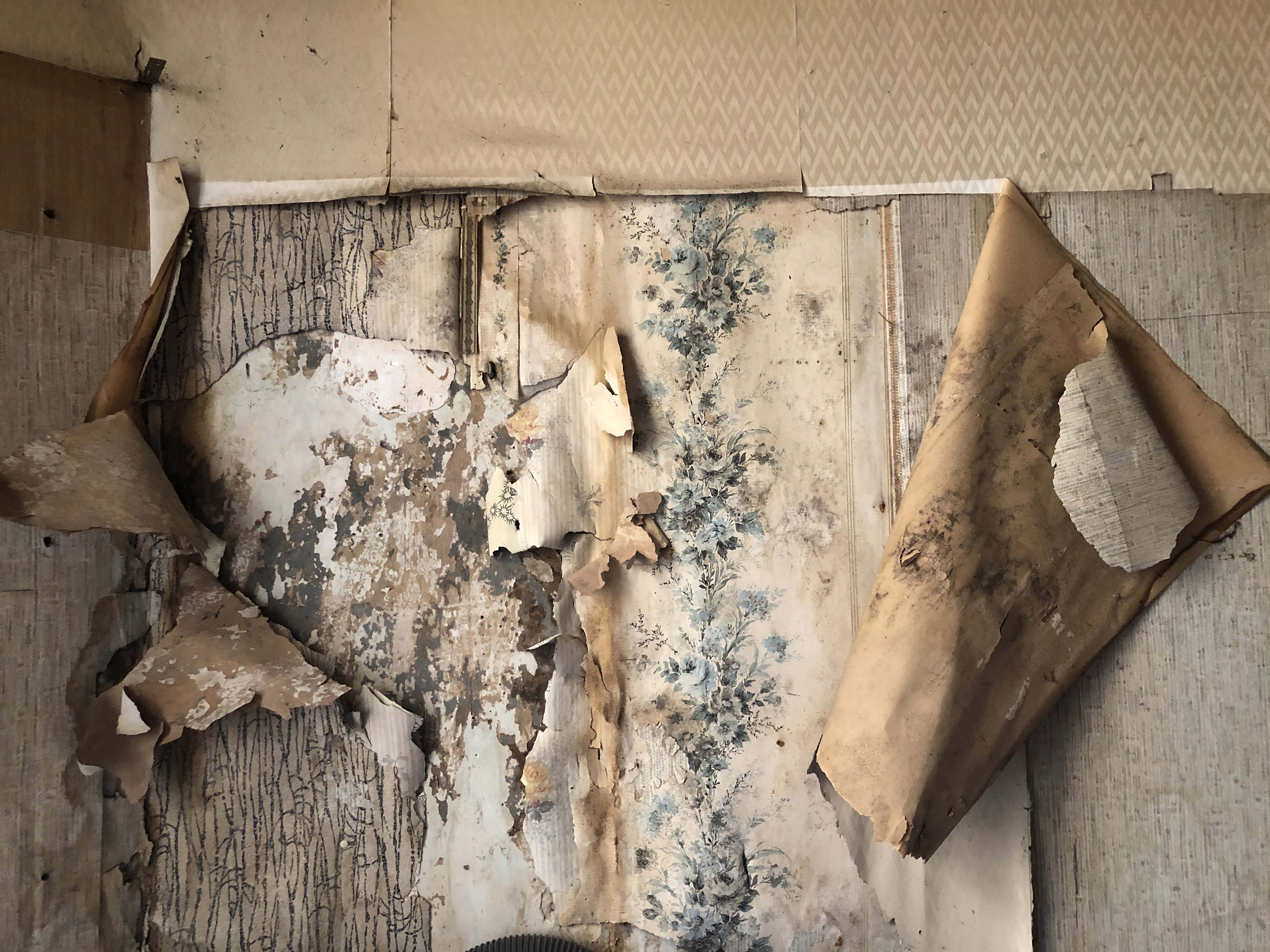 Decay