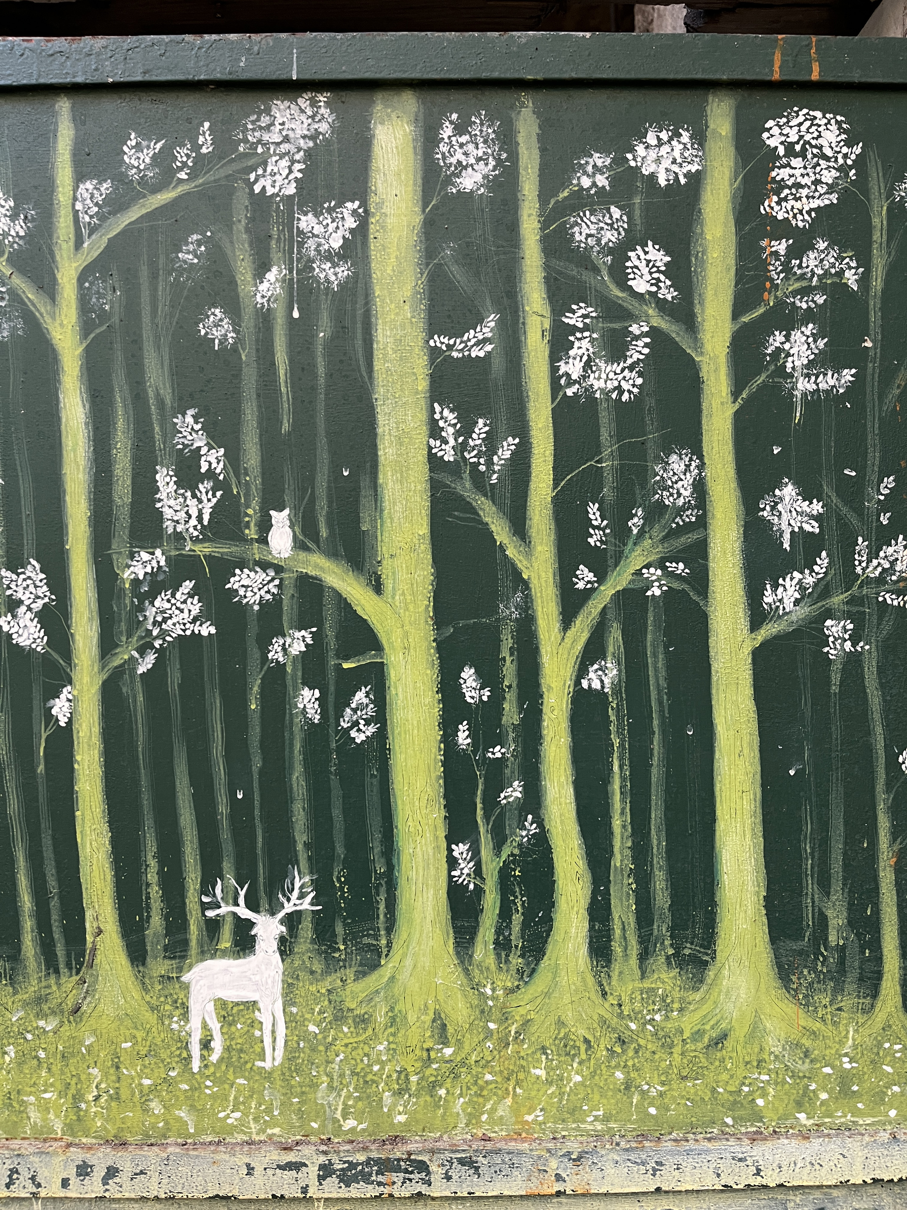 Woods