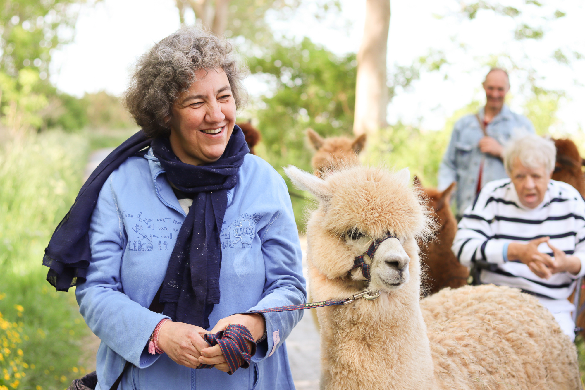 Vrouw wandelt met alpaca