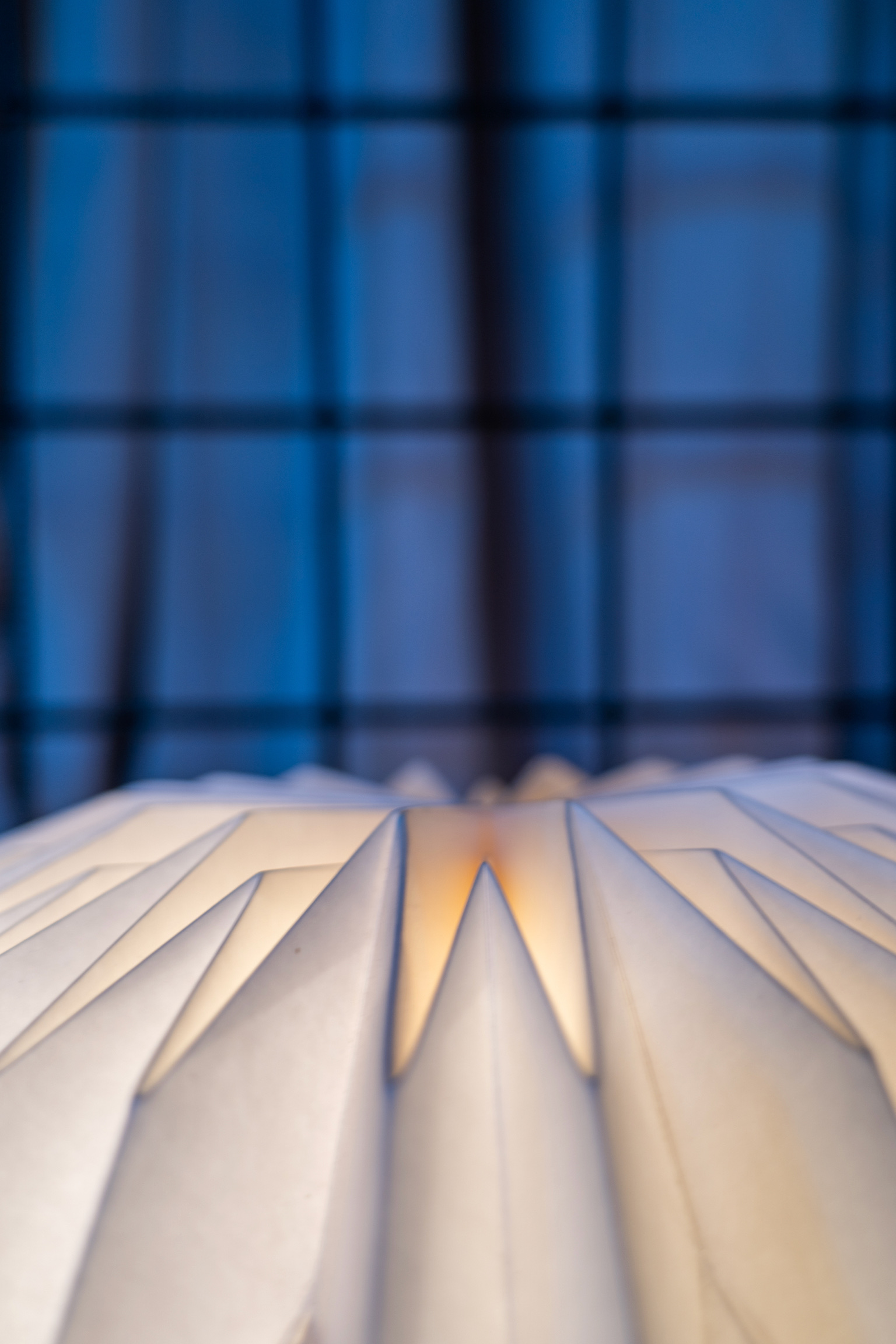 Welcome to Antwerp | YUST