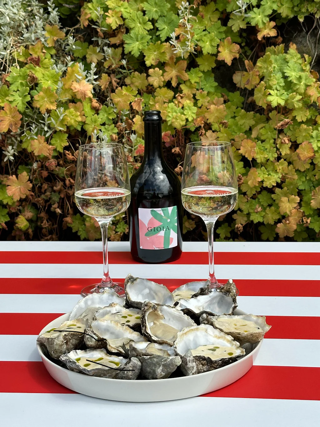 prosecco and oysters