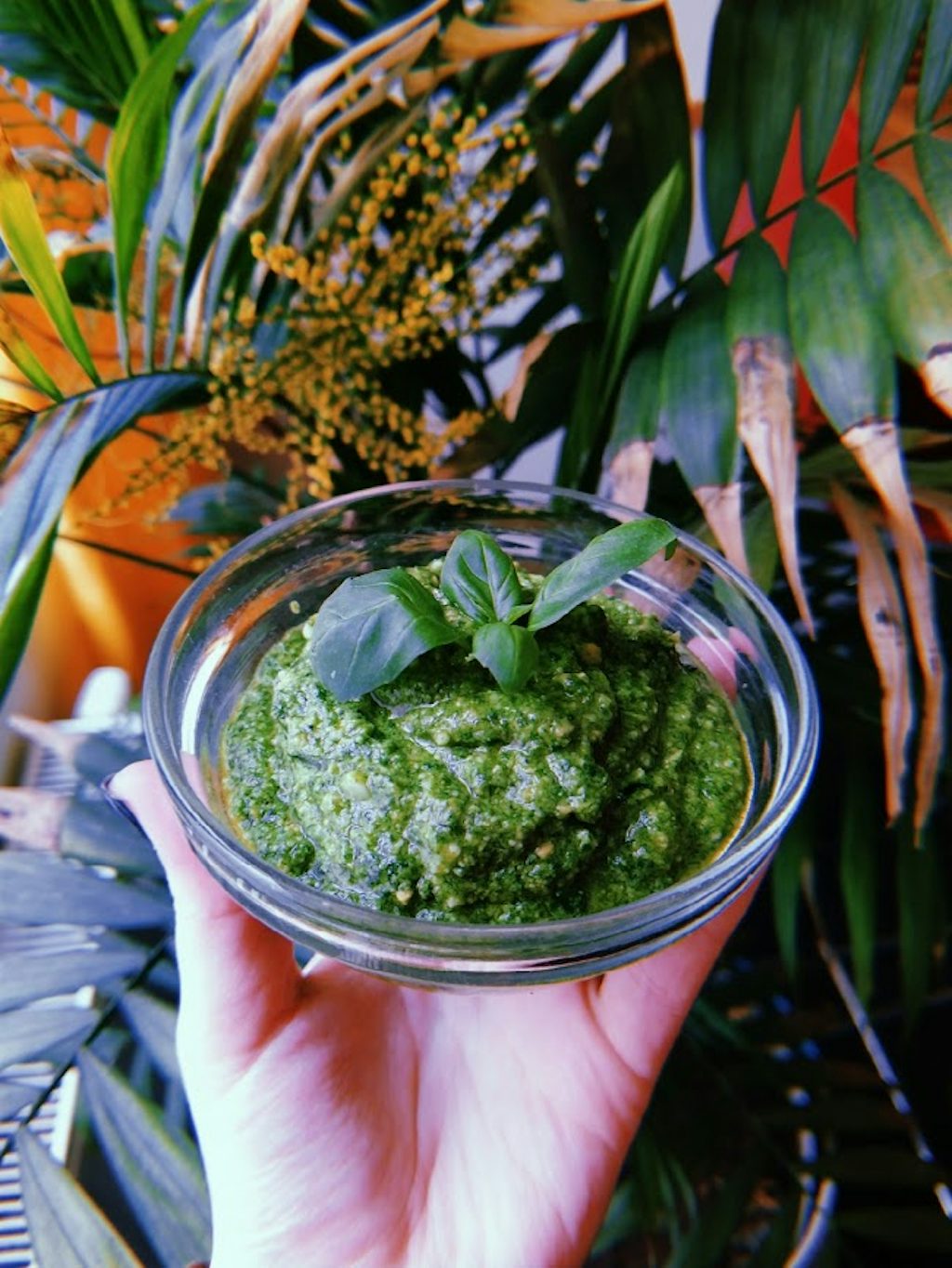 Rucola pesto
