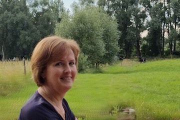 Ann De Vos thumbnail